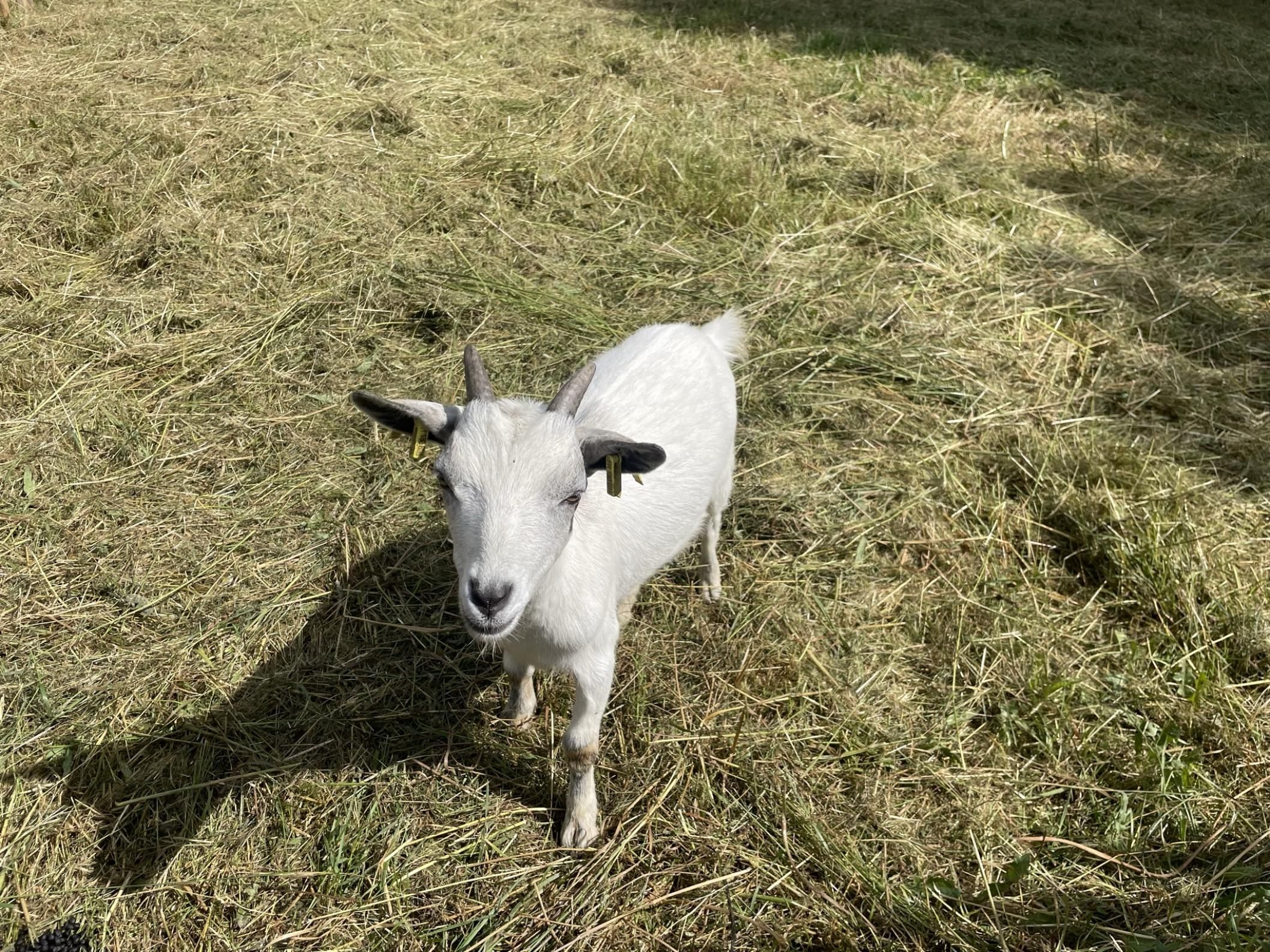 My Private Resort - Relaxation